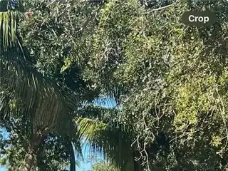 Prime Homesite to Be Built Steps from the Gulf