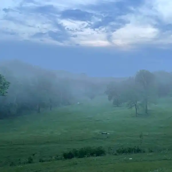 113 VERSATILE ACRES