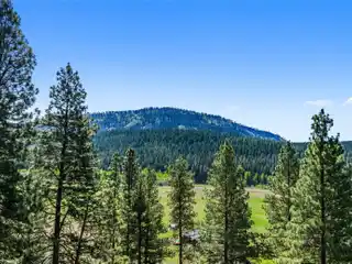 Impeccably Maintained Rambler on 41-Plus Acres