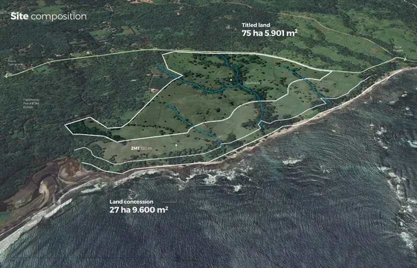 Large Image