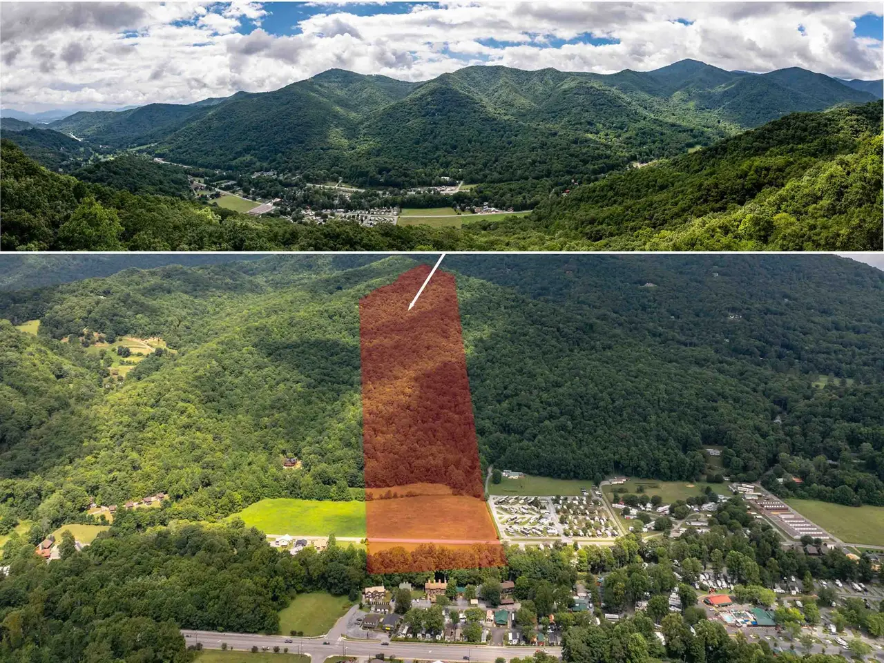Large Image