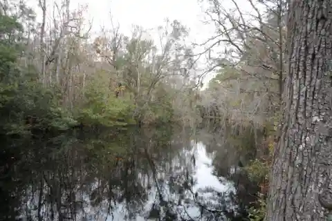 Beautiful Acreage