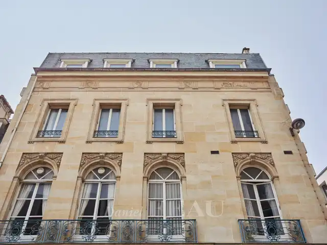 Large Image