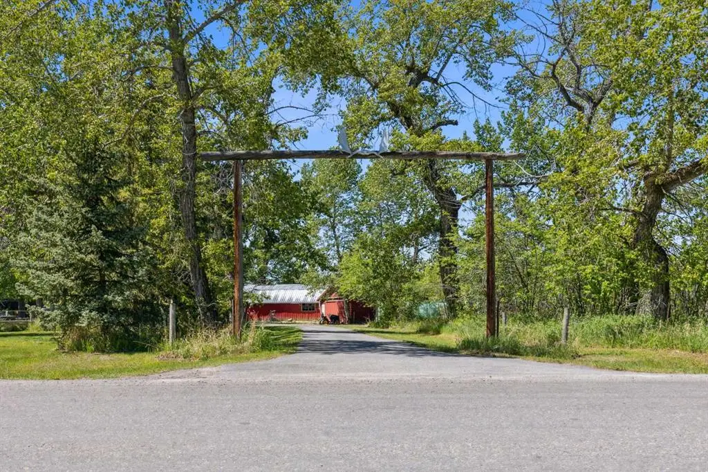 Large Image