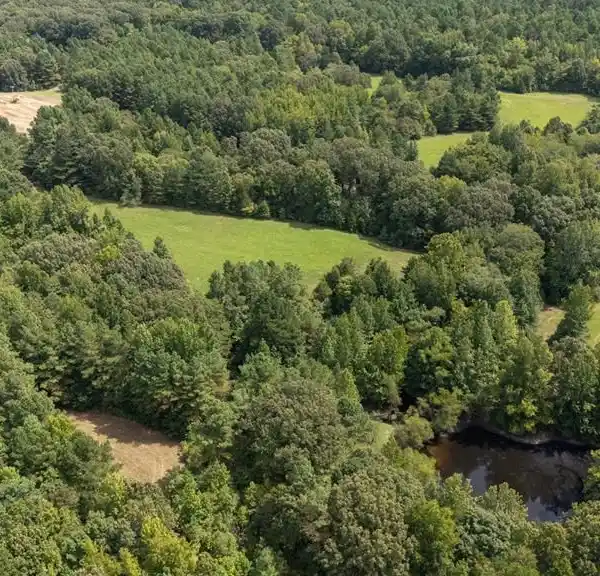 RARE AND VERSATILE EXPANSIVE PROPERTY