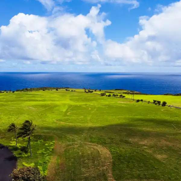 THE CROWN JEWEL OF PE’AHI FARMS
