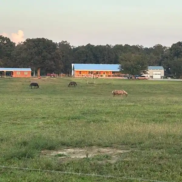 26-PLUS-ACRE RETREAT WITH A NEWLY BUILT HOME