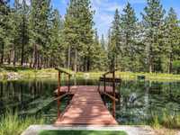ESCAPE DE CLEAR CREEK
