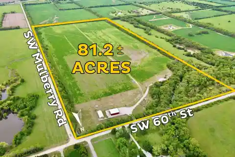 Diverse 81-acre Property
