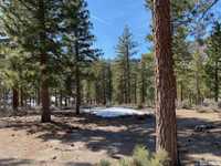 UNBELIEVABLE HOMESITE WITH STUNNING MOUNTAIN VIEWS
