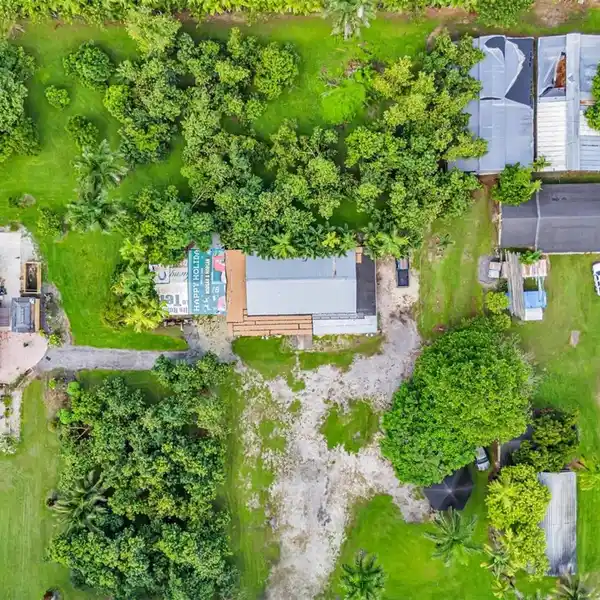 LUSH 5-ACRE RETREAT WITH AVOCADO GROVES AND STABLES