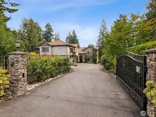 Striking Shady Lake Oasis