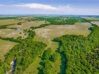 OVER 100 ACRES IN FANNIN COUNTY