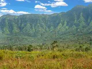 Once-In-A-Lifetime Opportunity of 64 Acres