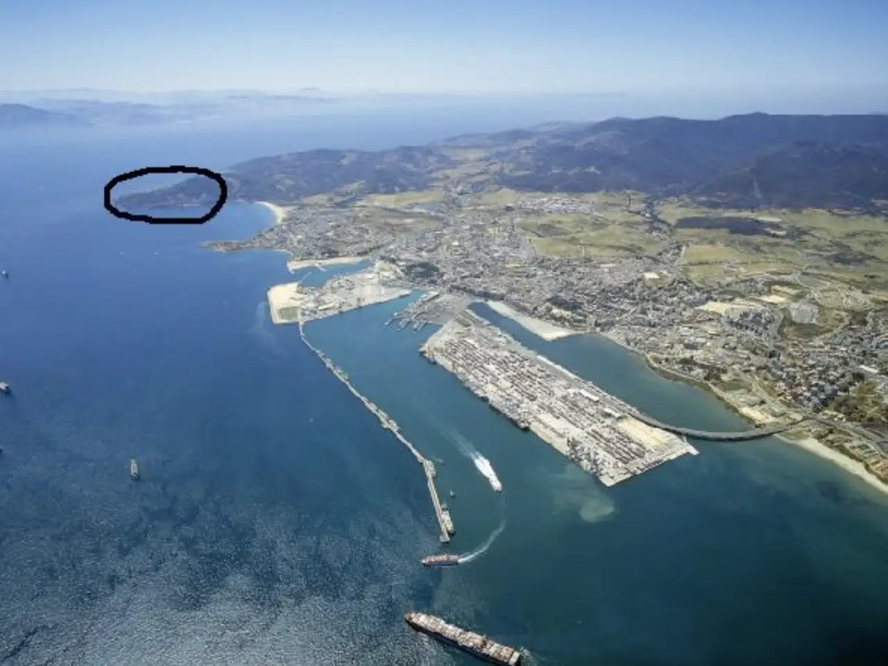 Large Image