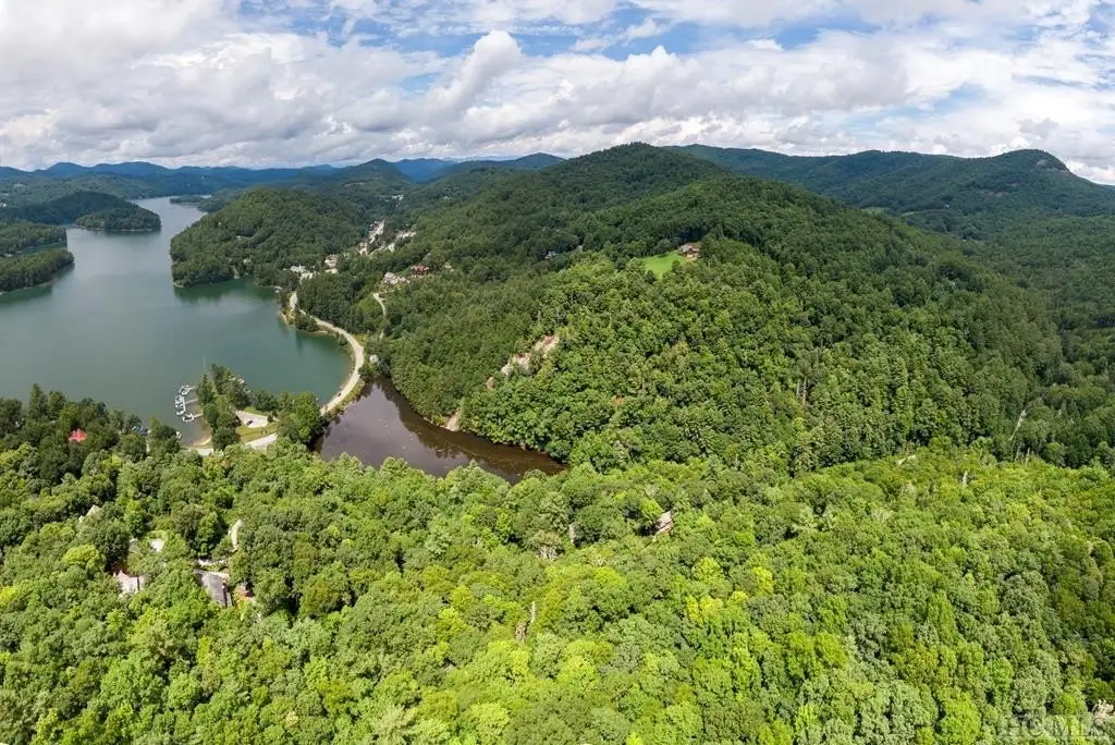 Large Image