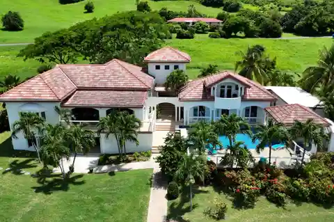 Island Oasis
