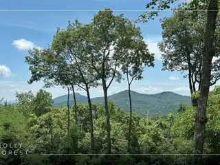 Exquisitely Crafted Residence with Beautiful Authentic Touches