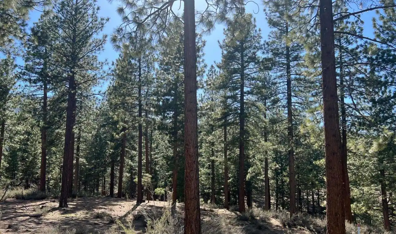 Perfect Near-acre Property