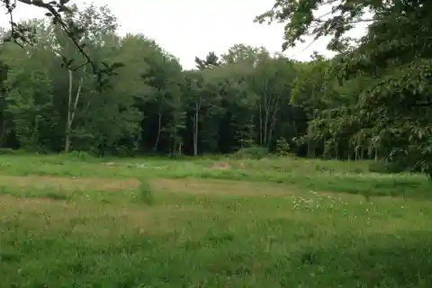 Flat Land with Stone Walls