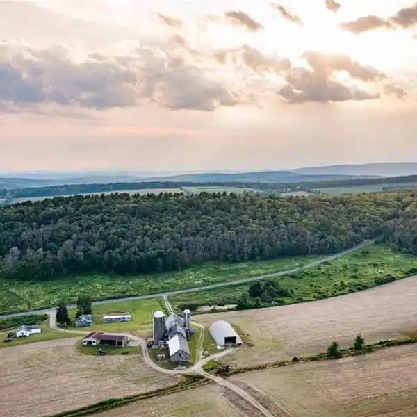 Land