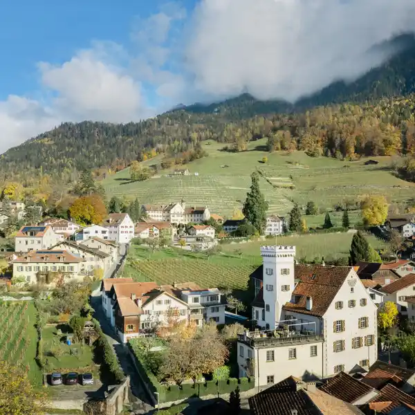 COLLECTION NO. 1 - A CLASSIC CASTLE IN THE VINYARDS OF SWITZERLAND