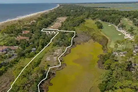 Privacy and Seclusion in Ocean Forest