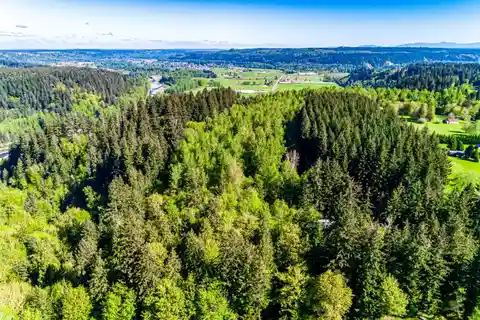 Majestic and Secluded Wooded Acreage