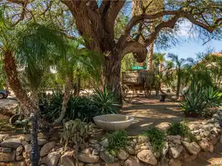 Nearly New Gated Home on Five Acres