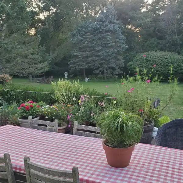 DELIGHTFUL RENTAL HOME