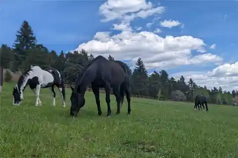 Doubleheader Ranch