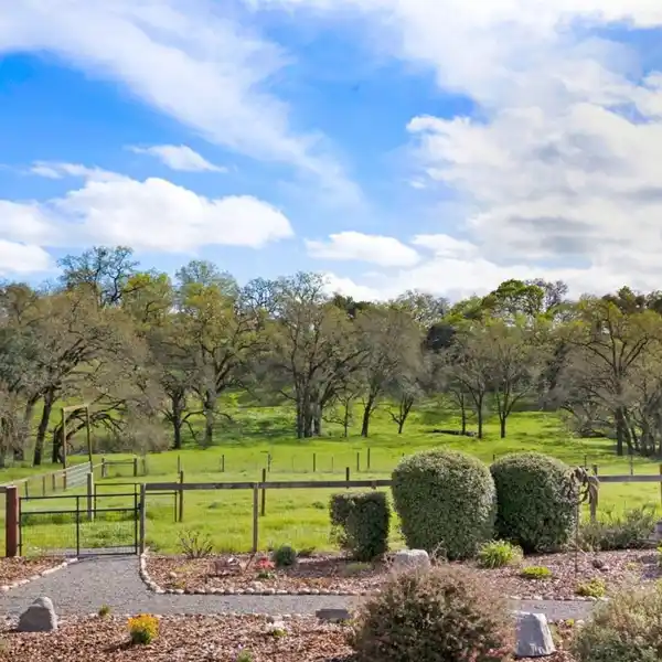 SINGLE-STORY RANCH HOME WITH WONDERFUL MEADOW VIEWS