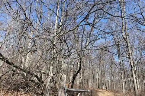 Build a Home on 11 Wooded Acres