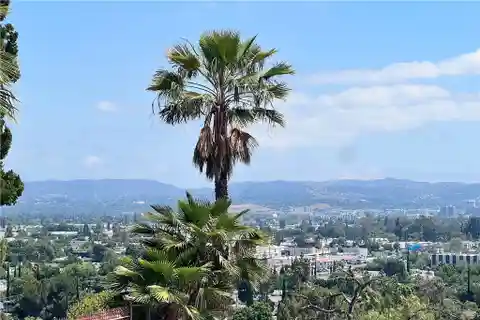 West Hills View Home with Endless Potential