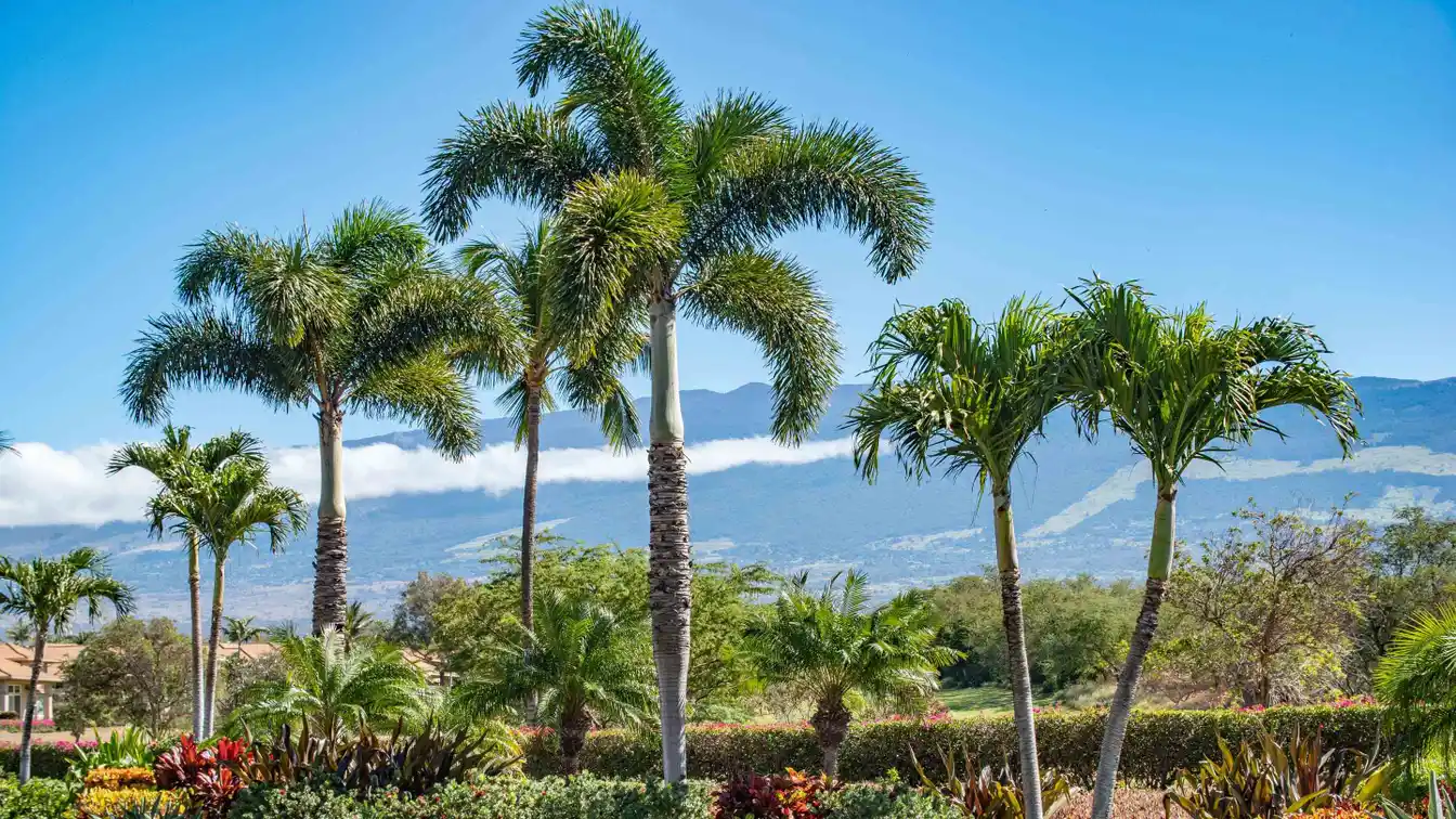 Custom Home in the Hokulani Golf Villas
