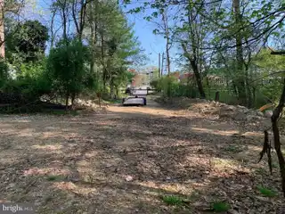 Nearly 30 Acres of Wooded Property