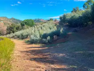 Over 20 Acres in Picturesque De Luz