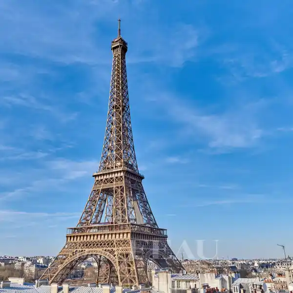 LUXURIOUS APARTMENT WITH EXCEPTIONAL EIFFEL TOWER VIEW