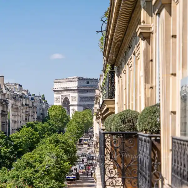 ENTIRELY RENOVATED APARTMENT OVERLOOKING PARC MONCEAU