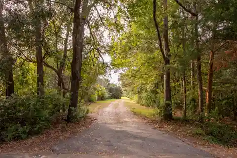Unique Opportunity on James Island