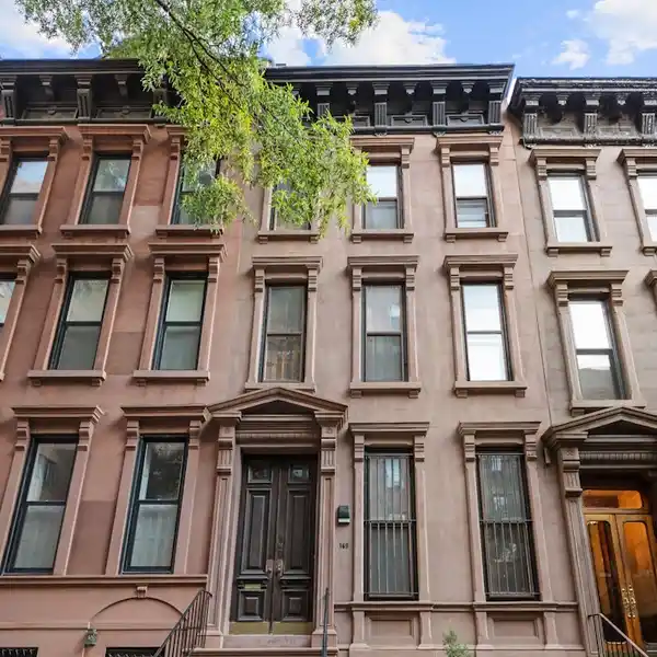 BEST BONES IN CARNEGIE HILL