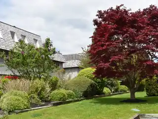 Charming Condo Close to Everything