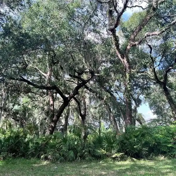 WOODED CORNER LOT ON SEA ISLAND