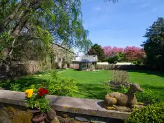 One-of-a-kind Magical Oasis
