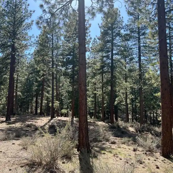 PERFECT NEAR-ACRE PROPERTY