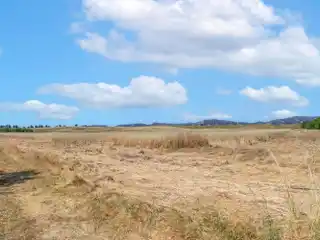 80.5 Acres - Perfect Home Location