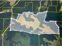 OVER 200 ACRES OF LAND IN MADISON COUNTY