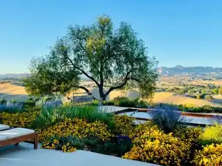 Peaceful 20-Acre Estate