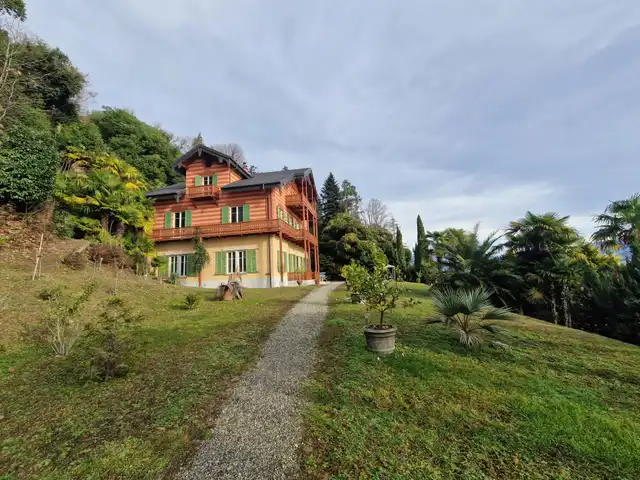 Large Image