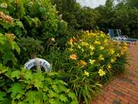 FOUR BEDROOM UNIT FOR RENT IN A DESIRABLE HAMPTONS COMPLEX